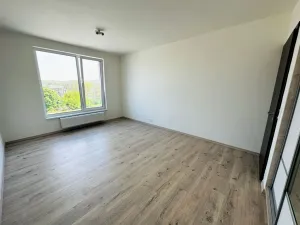 Pronájem bytu 2+kk, Ostrava - Moravská Ostrava, F. X. Riepla, 60 m2