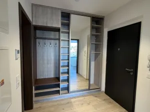 Pronájem bytu 2+kk, Ostrava - Moravská Ostrava, F. X. Riepla, 60 m2