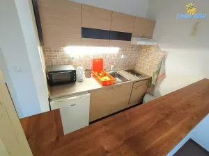Pronájem bytu 1+kk, Brno - Starý Lískovec, Sevastopolská, 35 m2