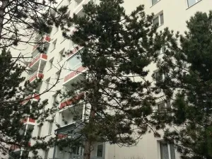 Pronájem bytu 1+kk, Brno - Starý Lískovec, Sevastopolská, 35 m2