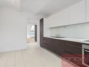 Pronájem bytu 3+1, Praha - Bubeneč, U akademie, 130 m2