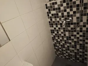 Pronájem bytu 1+1, Brno - Lesná, Arbesova, 32 m2