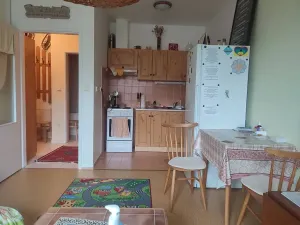 Pronájem bytu 2+kk, Jeseník, Husova, 40 m2