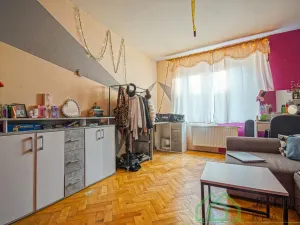 Prodej rodinného domu, Javorník, Družstevní, 407 m2