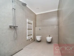 Pronájem bytu 4+kk, Praha - Smíchov, Holečkova, 211 m2