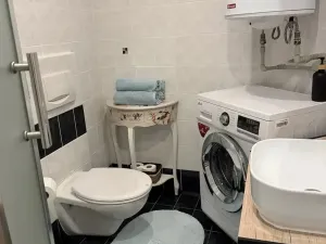 Pronájem bytu 2+kk, Praha - Nové Město, Navrátilova, 30 m2