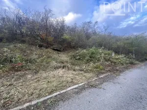 Prodej pozemku pro bydlení, Pustiměř, 1244 m2