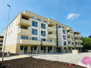 Pronájem bytu 1+kk, Olomouc, Frištenského, 32 m2