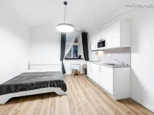 Pronájem bytu 1+kk, Praha - Nové Město, Petrská, 26 m2