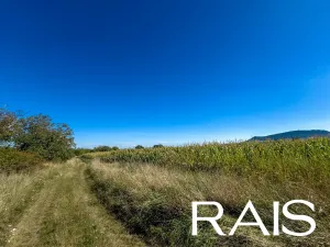 Prodej pole, Strachotín, 71860 m2