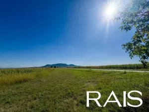 Prodej pole, Strachotín, 71860 m2