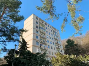 Pronájem bytu 1+kk, Ústí nad Labem, Vinařská, 31 m2