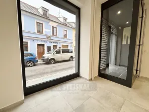 Pronájem kanceláře, České Budějovice - České Budějovice 1, Kněžská, 42 m2