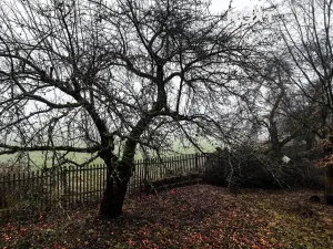 Prodej chaty, Ždírec, 130 m2