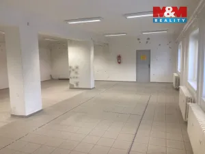Pronájem kanceláře, Strakonice - Strakonice II, U Nádraží, 160 m2