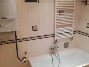 Pronájem bytu 1+1, Praha - Michle, Brtnická, 47 m2