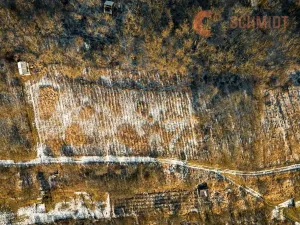 Prodej sadu/vinice, Hustopeče, 2896 m2