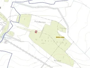 Prodej lesa, Němčice, 550 m2