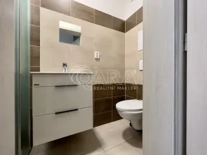 Pronájem bytu 2+kk, Česká, 48 m2