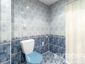 Prodej rodinného domu, Ústí nad Labem - Hostovice, Hostovická, 300 m2