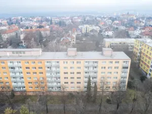 Prodej bytu 2+1, Kolín - Kolín II, Družstevní, 53 m2
