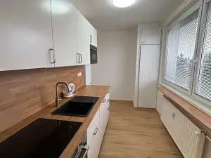 Pronájem pokoje, Olomouc, Přichystalova, 65 m2