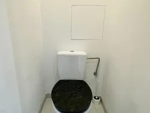 Pronájem bytu 2+1, Ostrava - Hrabůvka, U Prodejny, 50 m2