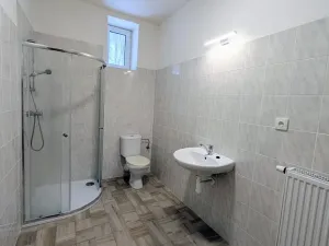 Pronájem bytu 2+kk, Peruc, U Koupaliště, 59 m2