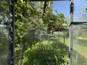 Prodej zahrady, Dubí, B. Němcové, 312 m2