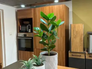 Prodej rodinného domu, Šenov u Nového Jičína, Anenská, 110 m2