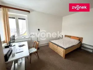 Pronájem bytu 2+1, Holešov, Havlíčkova, 50 m2
