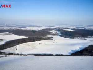 Prodej pole, Jeníkovice, 46475 m2