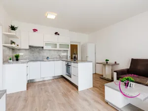 Prodej bytu 2+kk, Jihlava, Halasova, 50 m2