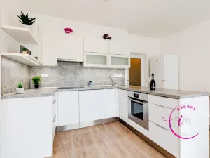 Prodej bytu 2+kk, Jihlava, Halasova, 50 m2