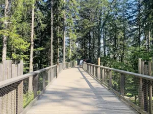 Prodej bytu 2+kk, Vrchlabí - Hořejší Vrchlabí, Horská, 49 m2