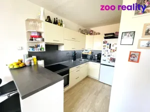 Pronájem bytu 2+kk, Litoměřice, Alfonse Muchy, 40 m2