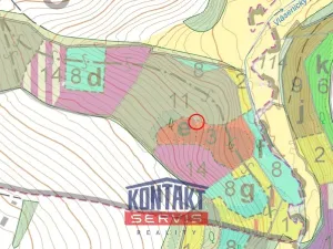 Prodej lesa, Vokov, 19055 m2