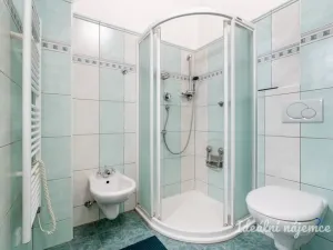 Pronájem bytu 1+1, Praha - Nusle, Pod lázní, 40 m2