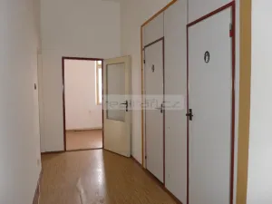 Pronájem bytu 1+1, Plzeň - Jižní Předměstí, Plachého, 54 m2