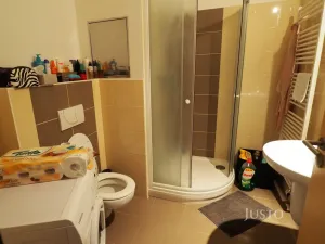 Pronájem bytu 1+kk, Písek, V Portyči, 31 m2