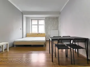 Pronájem bytu 1+kk, Praha - Holešovice, U průhonu, 22 m2