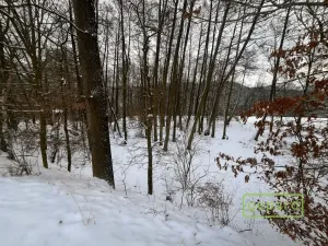 Prodej pozemku pro bydlení, Loket, 730 m2