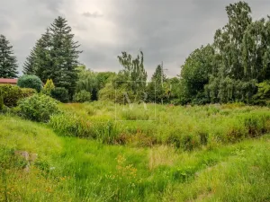 Prodej komerční nemovitosti, Sulice - Želivec, Hlavní, 370 m2