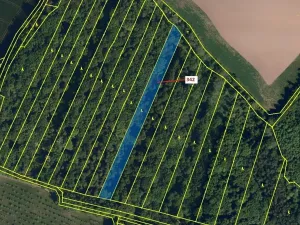 Dražba lesa, Hradčany-Kobeřice, 5428 m2