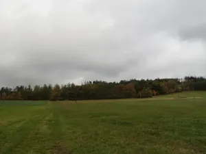 Dražba pole, Mochtín, 38121 m2