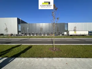 Pronájem skladu, Ostrava - Hrušov, Žižkova, 12400 m2