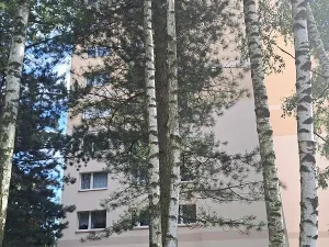 Pronájem bytu 1+kk, Liberec - Liberec XIV-Ruprechtice, Borový vrch, 28 m2