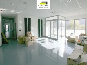 Pronájem výrobních prostor, Světec - Chotějovice, 13414 m2