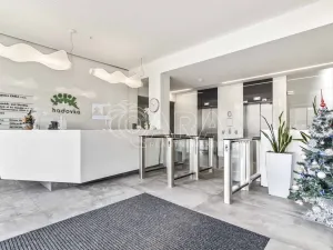 Pronájem kanceláře, Praha - Dejvice, Evropská, 236 m2