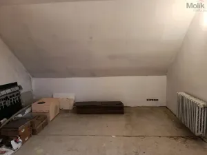 Prodej rodinného domu, Brandov, 330 m2